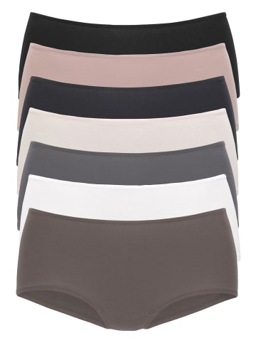 Vivance Panty in braun, weiß, grau, puder, schwarz, rosa