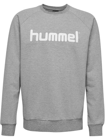 Hummel Sweatshirt Raglanärmel Hmlgo Kinder in GREY MELANGE