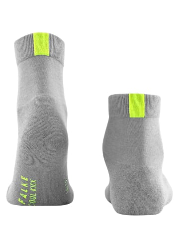 Falke Socken 1er Pack in Hellgrau