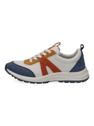 Caprice Sneaker Mehrfarbig