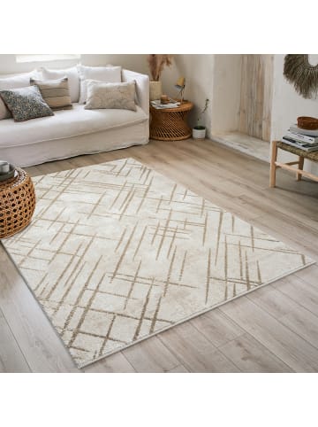 payé Teppich Kurzflor Royal