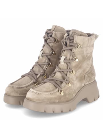 Paul Green Schnürboots in beige