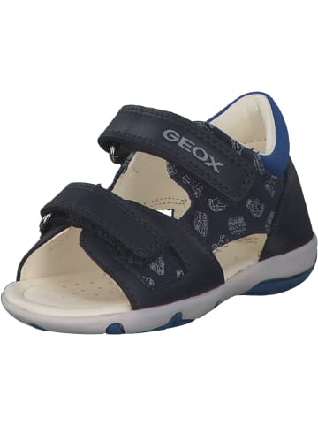 Geox Sandalen in Navy/Royal