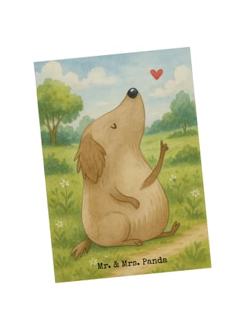 Mr. & Mrs. Panda Fotokarte Hund Liebe Design ohne Spruch in Weiß