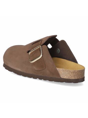 Beliana Clogs in braun