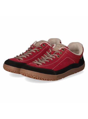 rieker Schnürhalbschuh in red