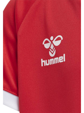 Hummel Hummel T-Shirt Raglanärmel Hmlcore Kinder in TRUE RED