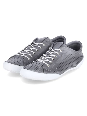 Andrea Conti Schnürhalbschuh in anthrazit