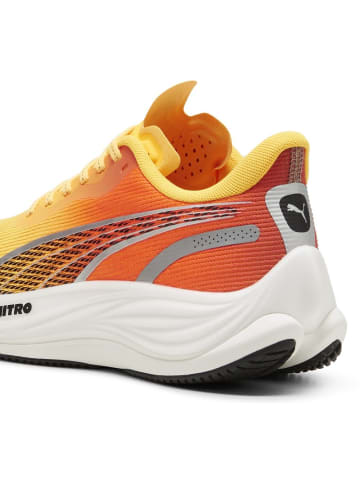 Puma Laufschuh "Velocity Nitro 3 FADE Wns" in Orange