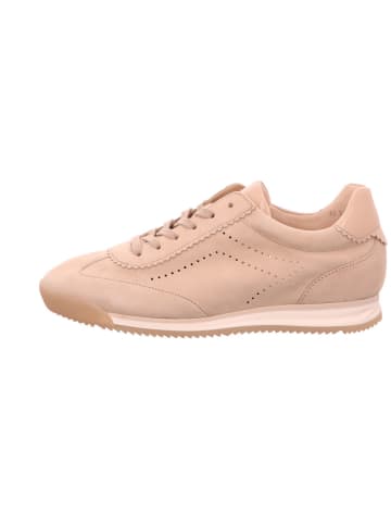 Gabor Schnürschuh in Beige