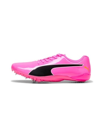 Puma Sportschuh "evoSPEED Prep Sprint 3.5" in Pink