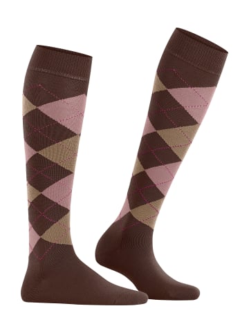 Burlington Marylebone Kniestrumpf in Hazelnut