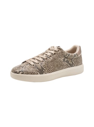 Tamaris Sneaker mit Schnürung Beige