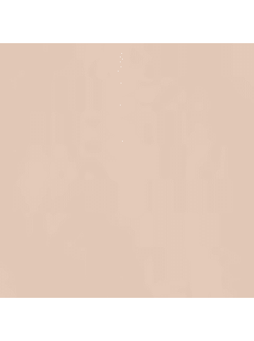 Hessnatur Soft BH in puder
