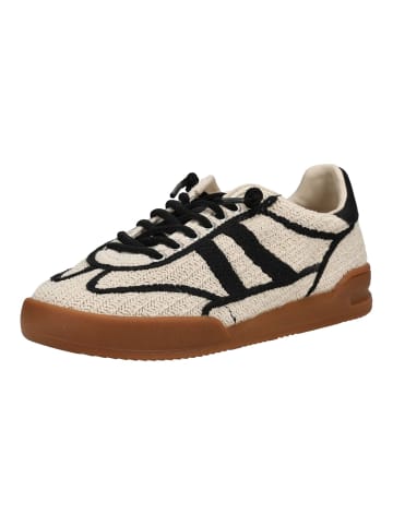 Steve Madden Sneaker in Beige/Schwarz