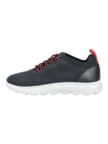 Geox Sneaker in Navy