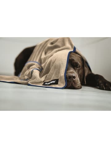 FLUFFINO Hundehandtuch Set 2-tlg. S beige/blau  Bunt