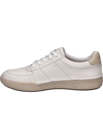 Josef Seibel Sneaker Claire 19 in weiss-beige