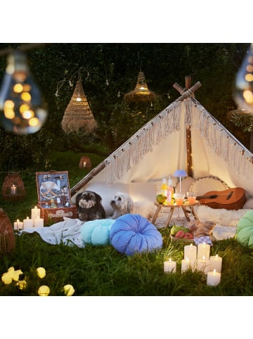 Butlers Picknickkorb A DAY IN THE PARK in Braun