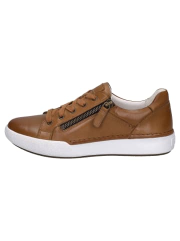 Josef Seibel Sneaker in Beige