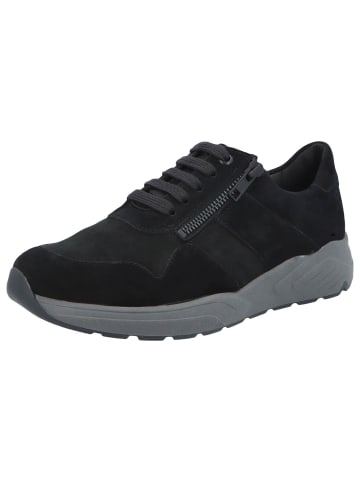 Solidus Schnürhalbschuh Kea 501 in schwarz