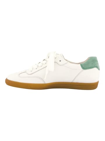 Paul Green Sneaker Weiß/Grün