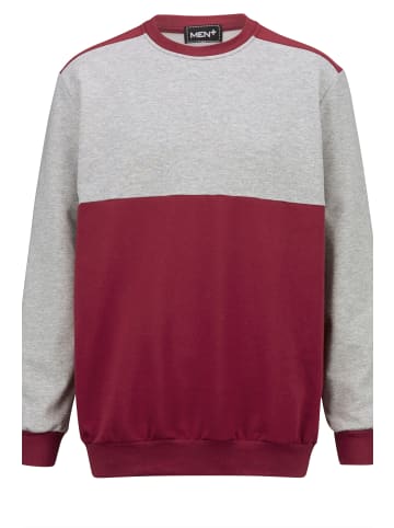 Men Plus Sweatshirt in rot