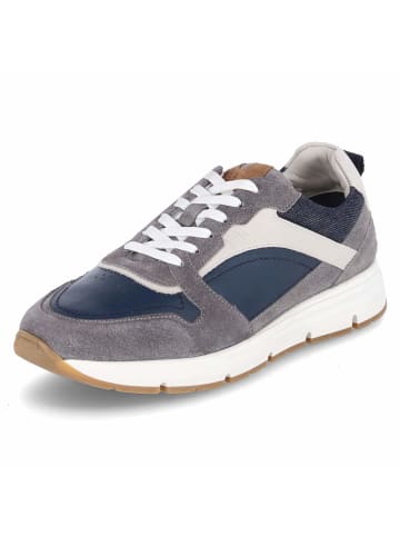 Bullboxer Low Sneaker in grau