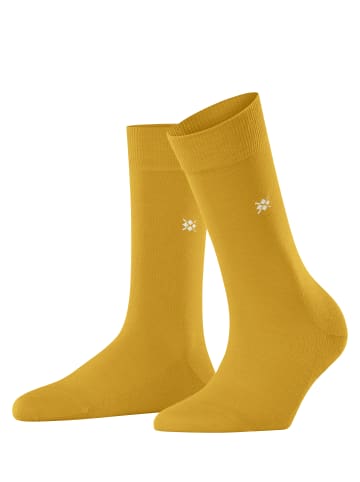 Burlington Socken Bloomsbury in Curry