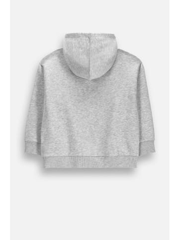Coccodrillo Trainingsjacke in grau