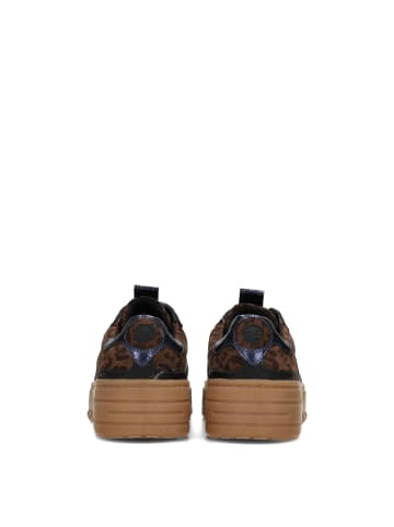 POELMAN Poelman ANEMONE Damen Sneaker