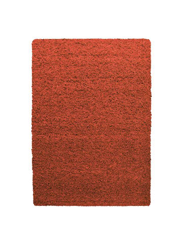 KADIMA DESIGN Teppich Hochflor Shaggy Waschbar Einfarbig RHEIN Strapazierfähig in Terrakotta