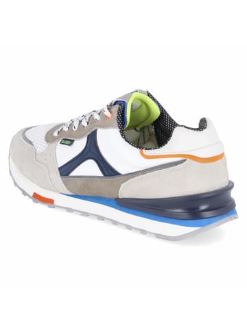 Bullboxer Low Sneaker in weiß