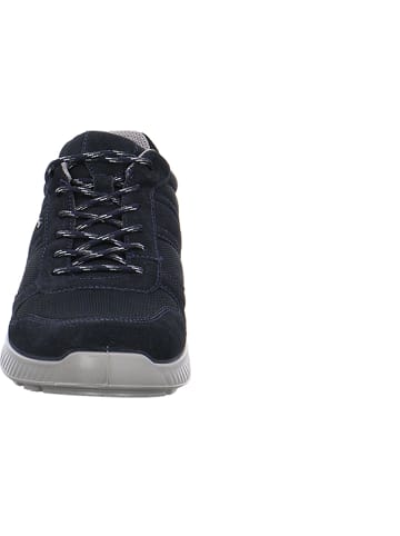 Jomos Schnürschuh in blau