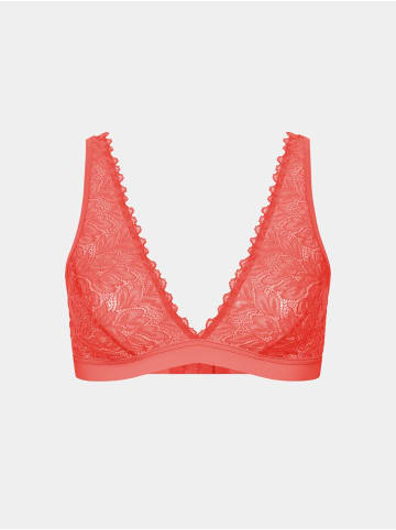 Erlich Textil  DREAMY LACE PLUNGE BRA in wilde orange