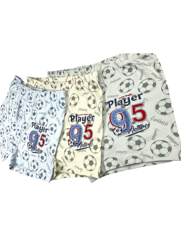 LOREZA 10er Set Boxershorts - Player - Bunt