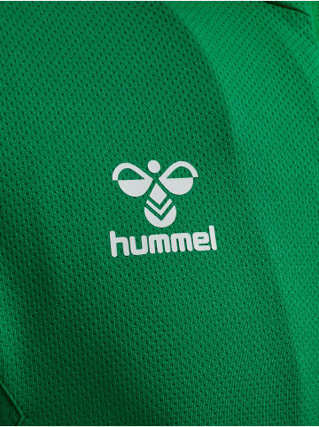 Hummel Reißverschluss Jacke Hmlauthentic Multisport Herren in JELLY BEAN