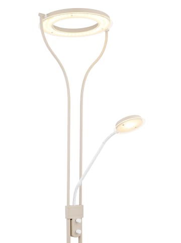 Globo lighting Deckenfluter "EBRO" in gray