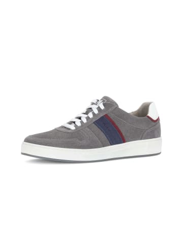 Gabor Sneaker low in grau