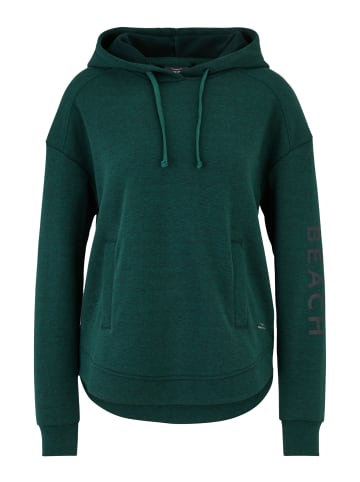 Venice Beach Sweatshirt VB Royce in green pond