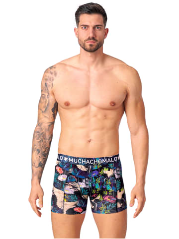 Muchachomalo 2er-Set: Boxershorts in Multicolor/Blue