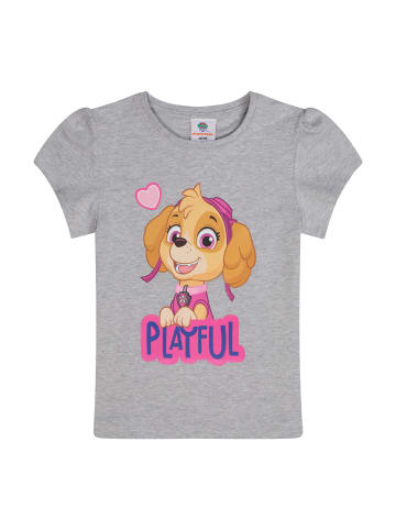 Paw Patrol T-Shirt kurzarm Paw Patrol Skye in Grau