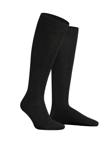 Hudson Kniestrümpfe Only 2-Pack wärmend in Black