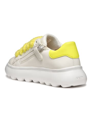 Geox Sneaker Weiß/Gelb