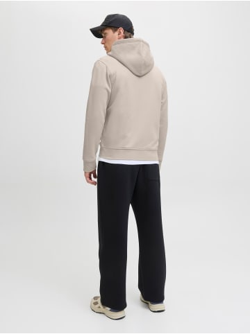 Jack & Jones Sweatshirt mit Reißverschluss in Moonbeam