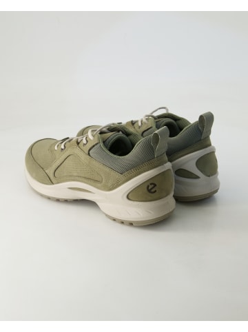Ecco Sneaker low in Grün