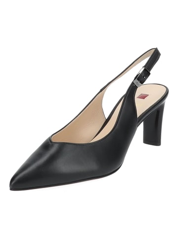 Högl Pumps in Schwarz