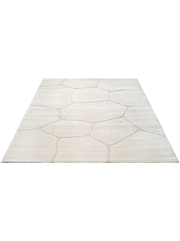 the carpet Kurzflorteppich Everest H in Creme