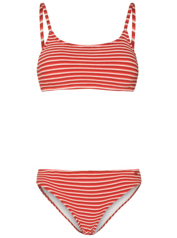 Protest " HAILEY in Clay