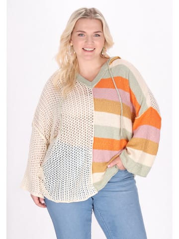 IZIA Women Plus Size Sweater in beige